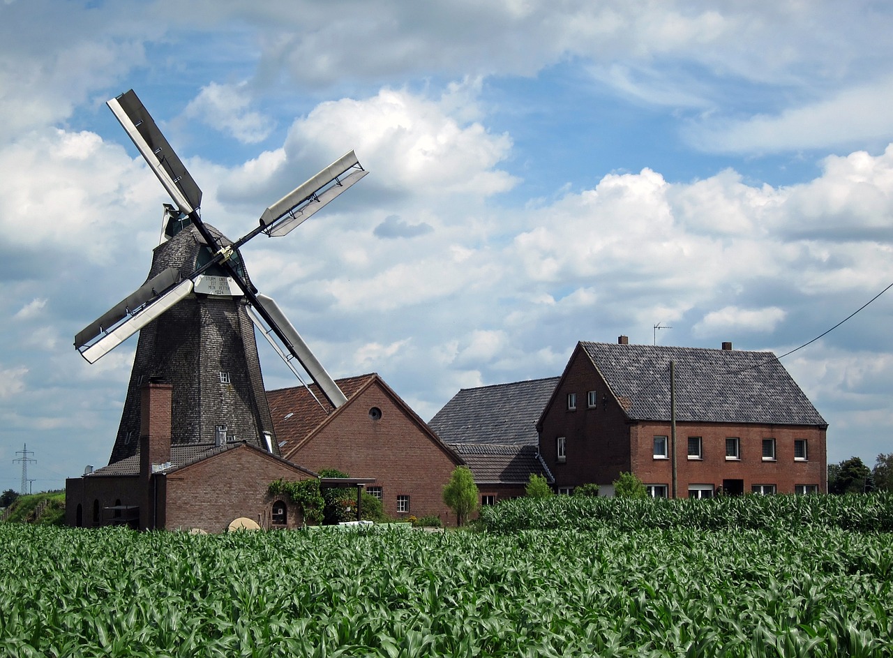 windmill donsbrüggen farm free photo
