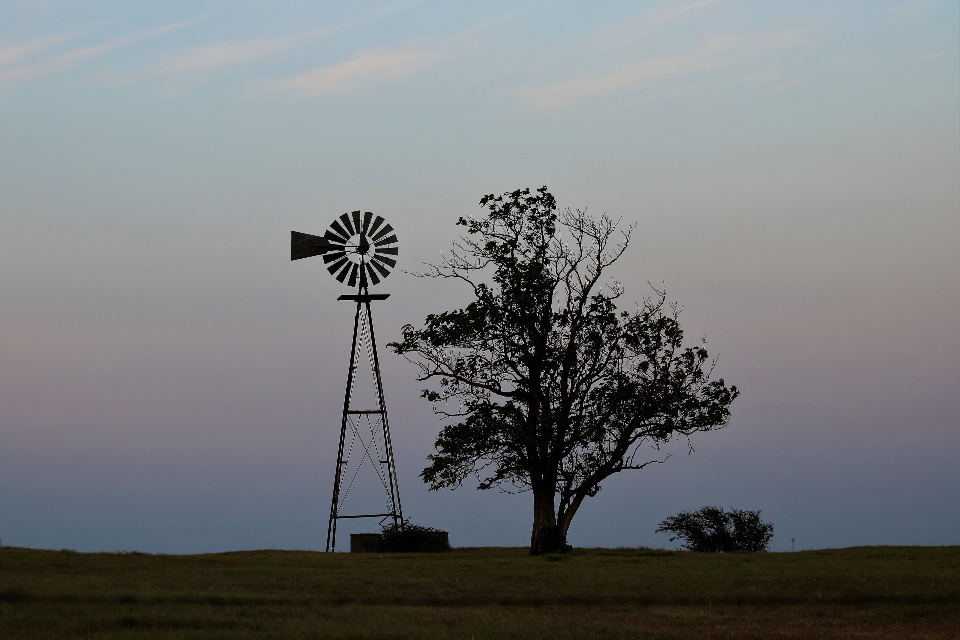 windmill old tree free photo