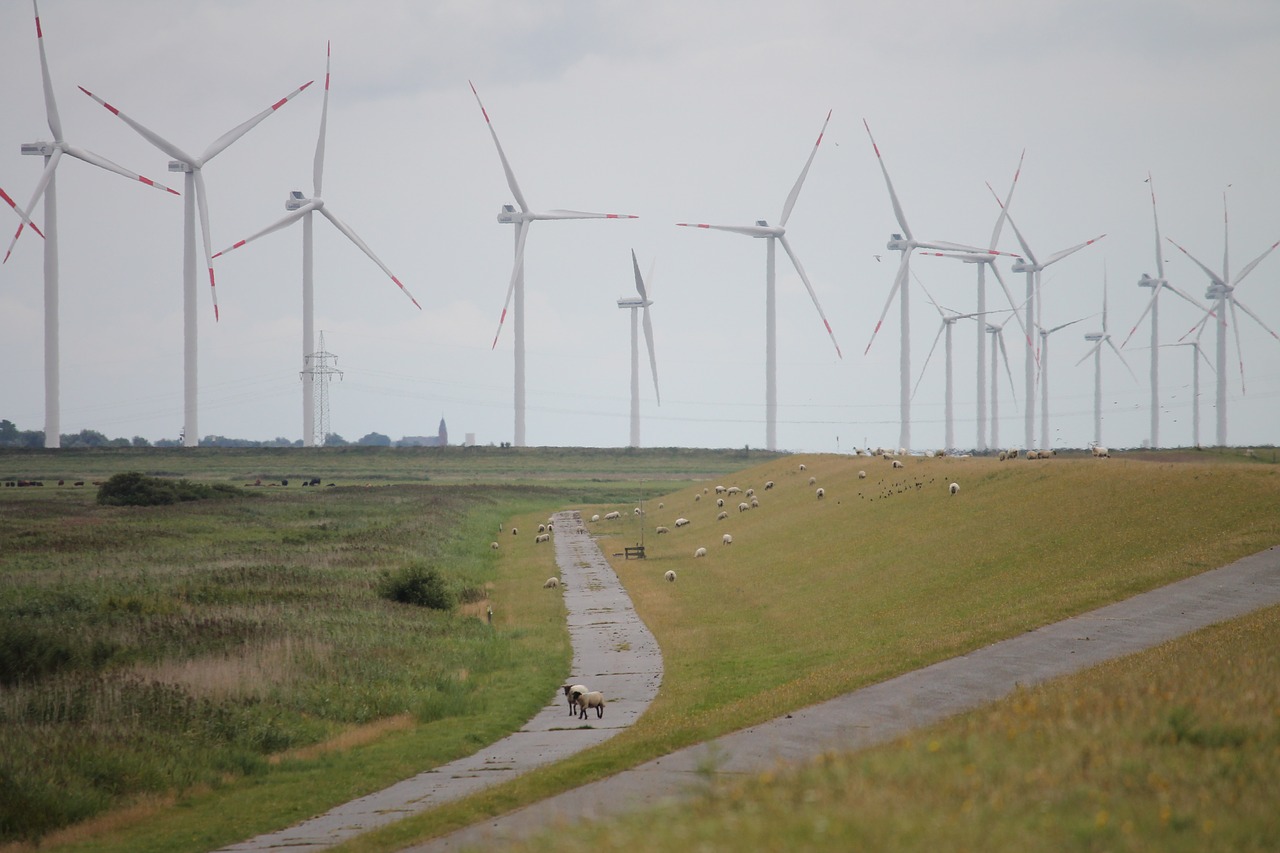 windmills wind park ecology free photo