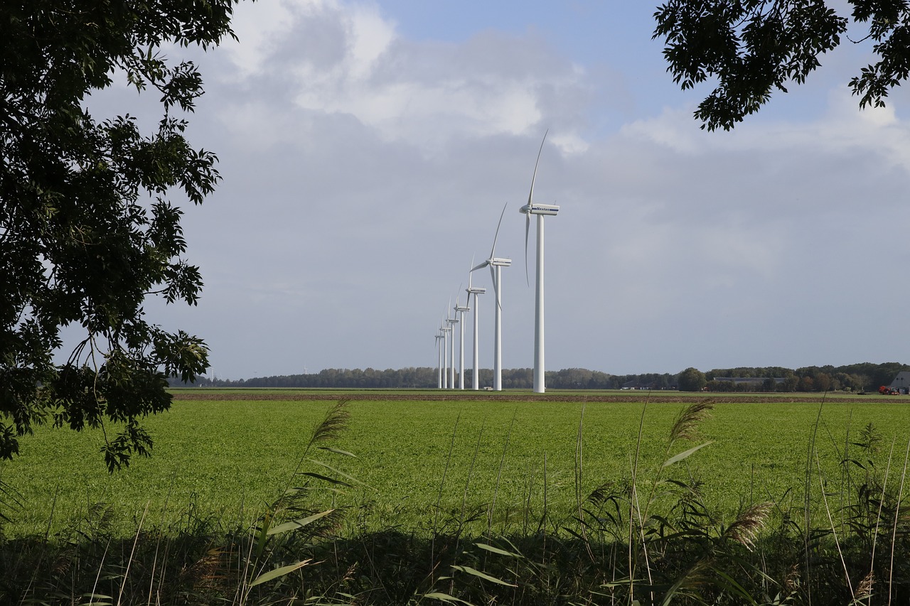 windmills polder zeewolde free photo