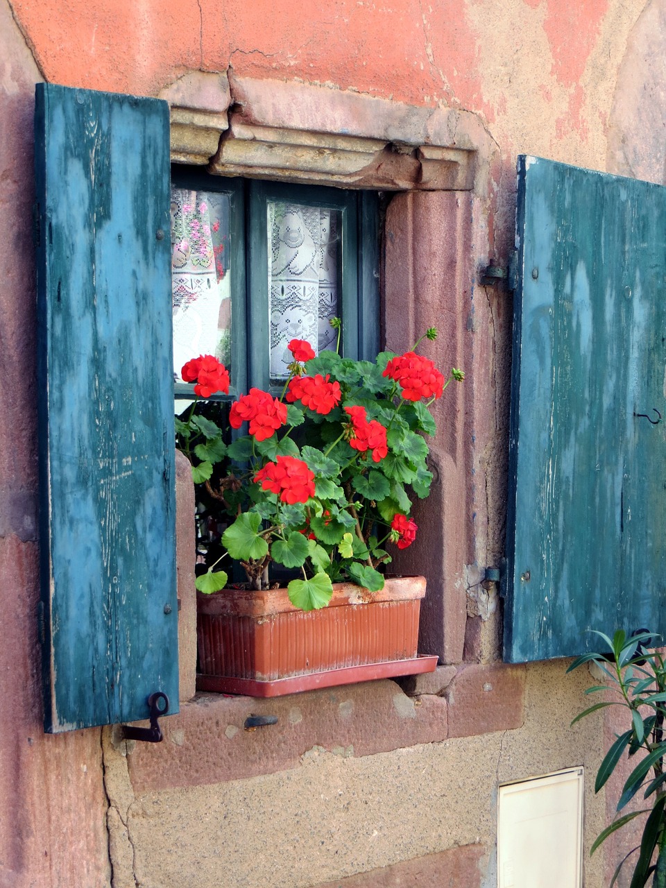 window architecture facade free photo