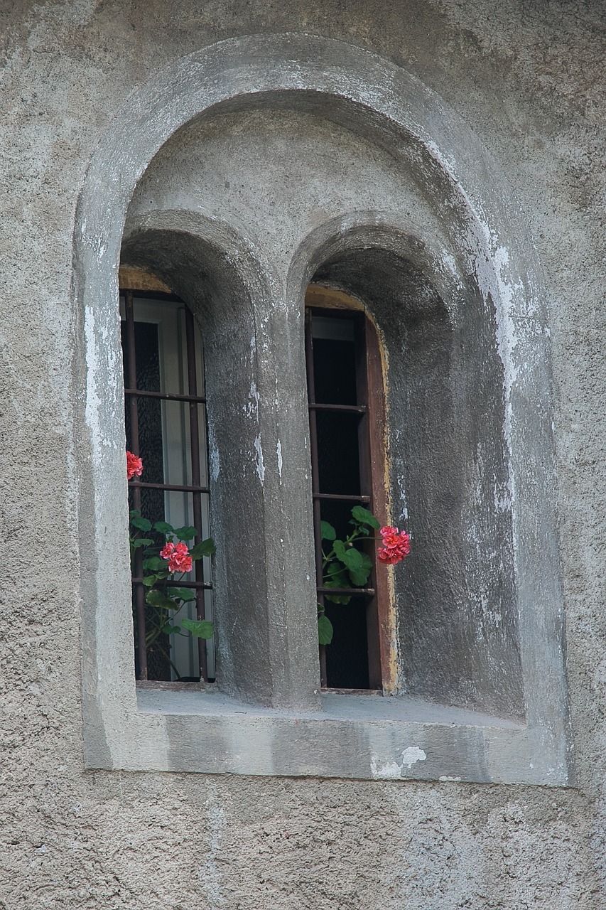 window flower weathered free photo