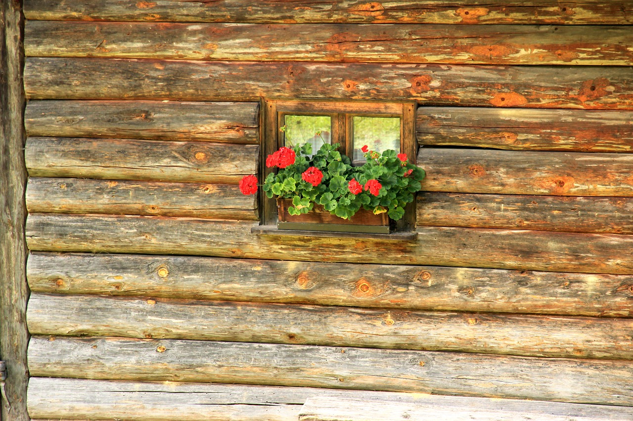 window hut log cabin free photo