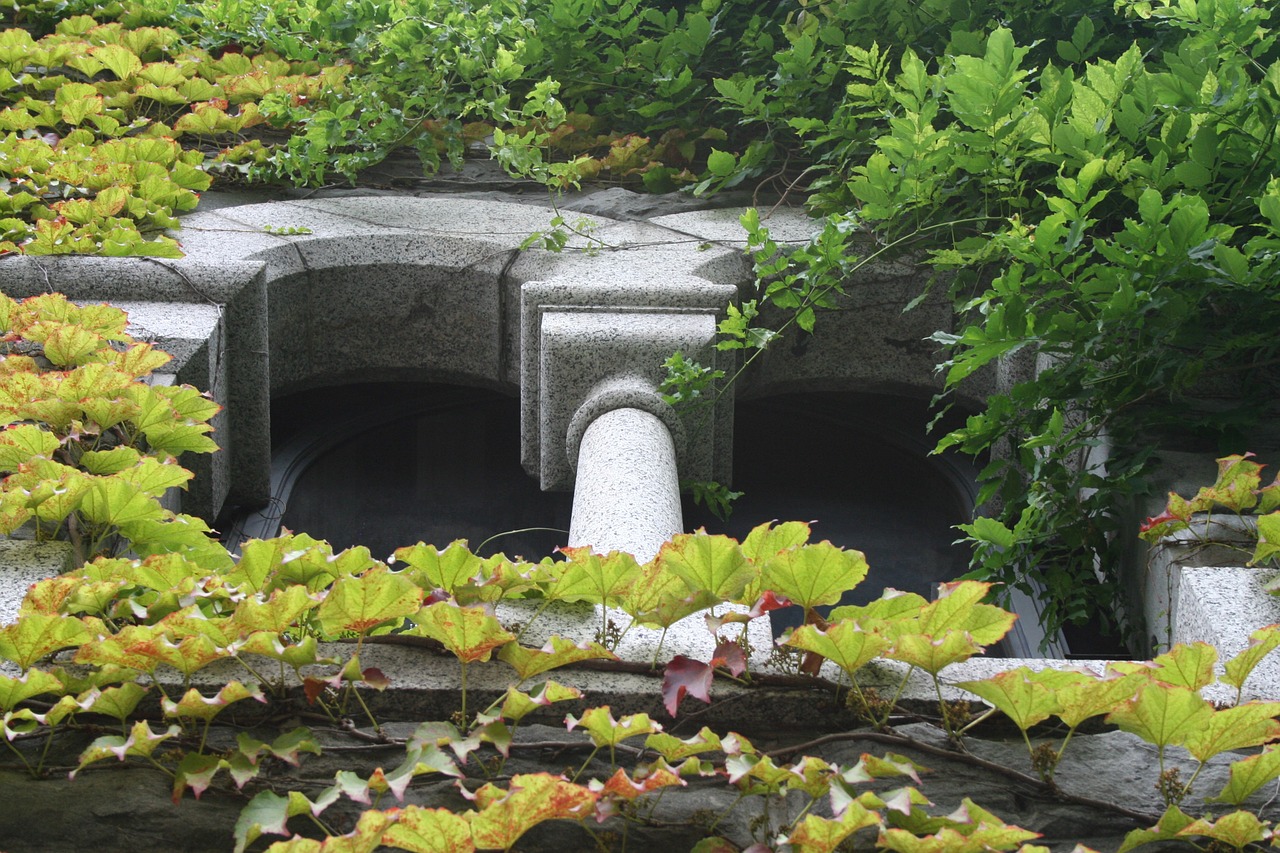 window stone architecture free photo