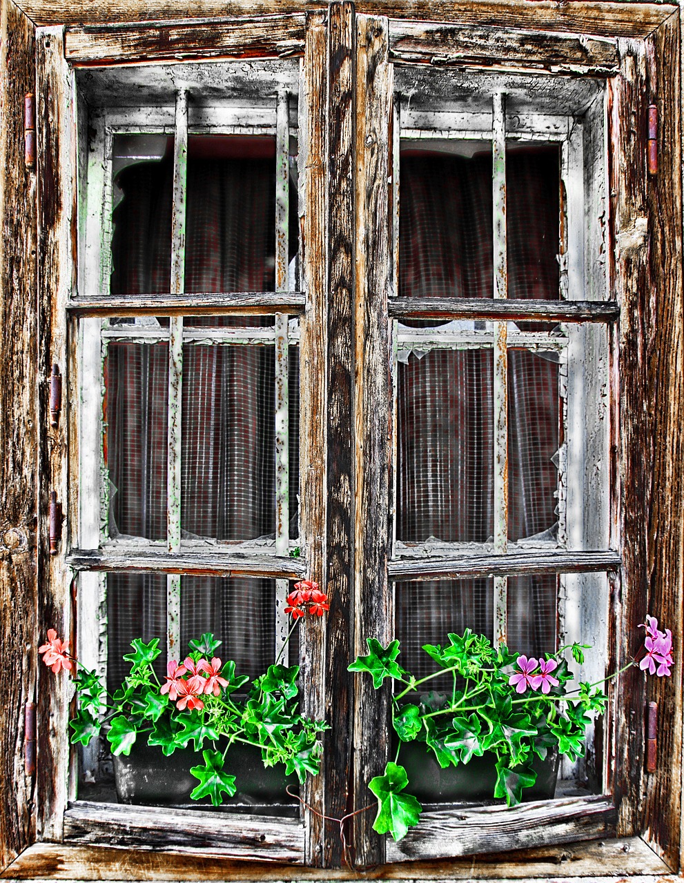 window home rustic free photo
