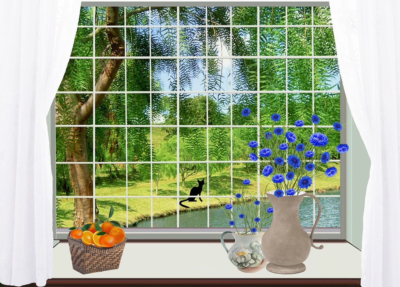 window basket black cat free photo