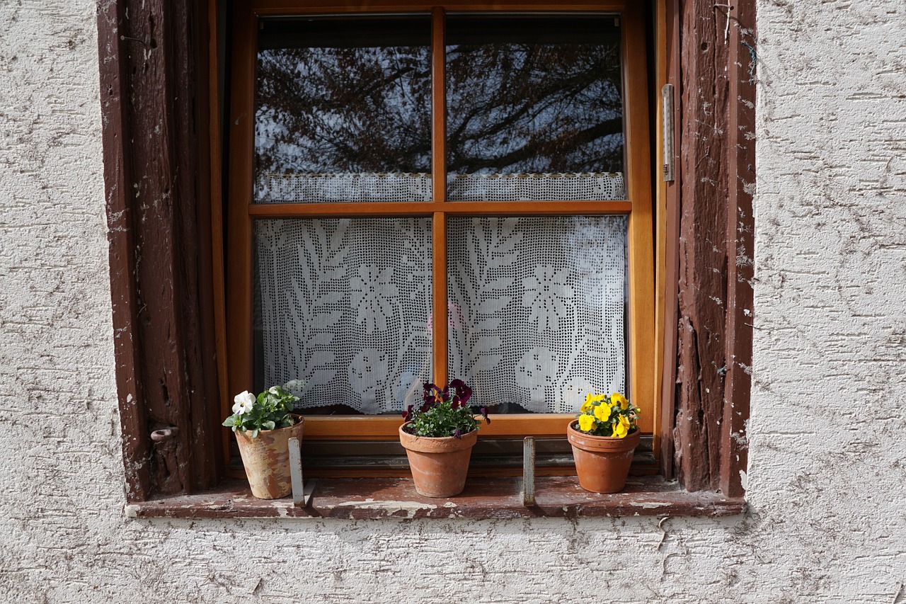 window flowers pot free photo