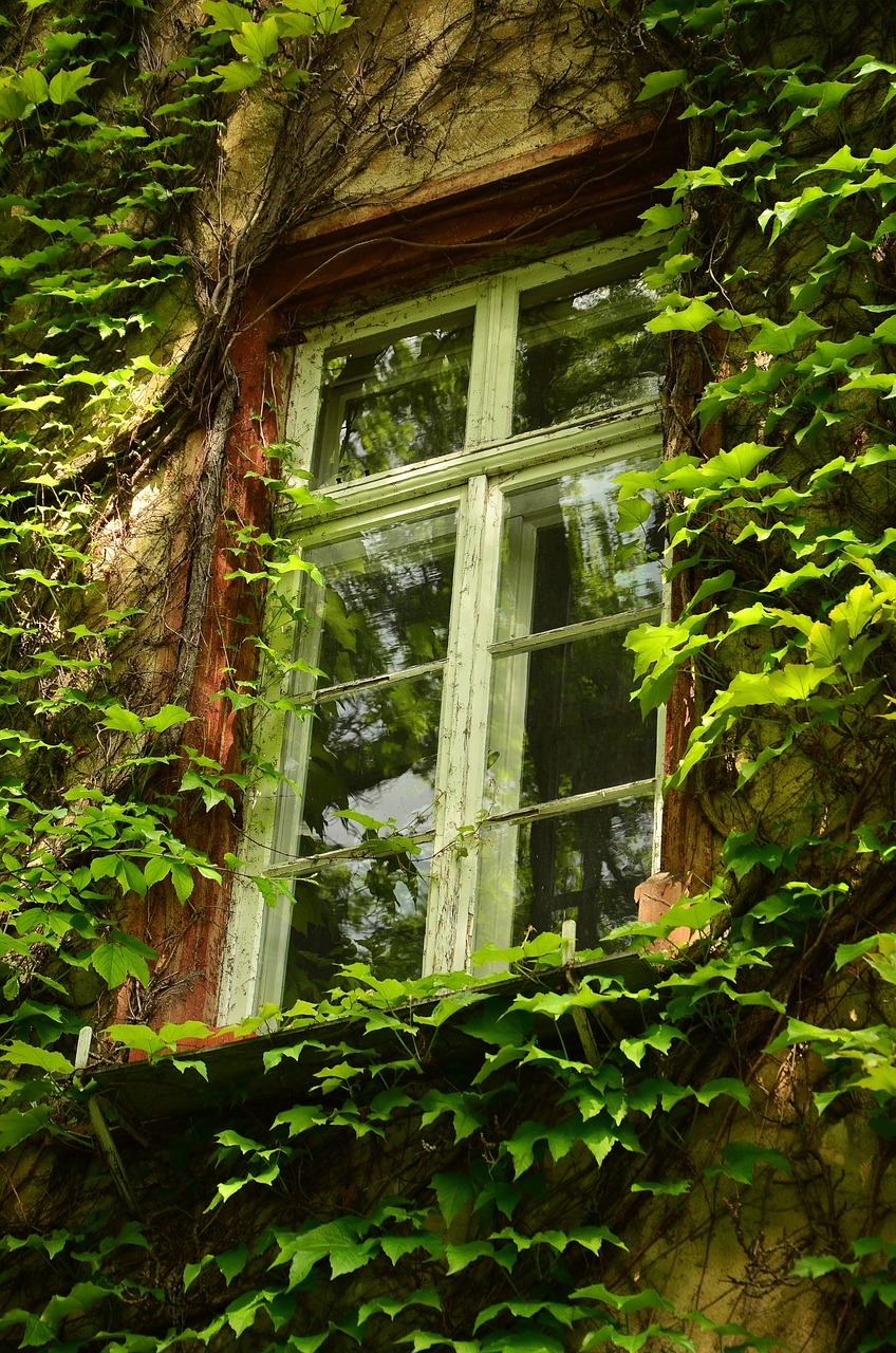 window old window aesthetic free photo
