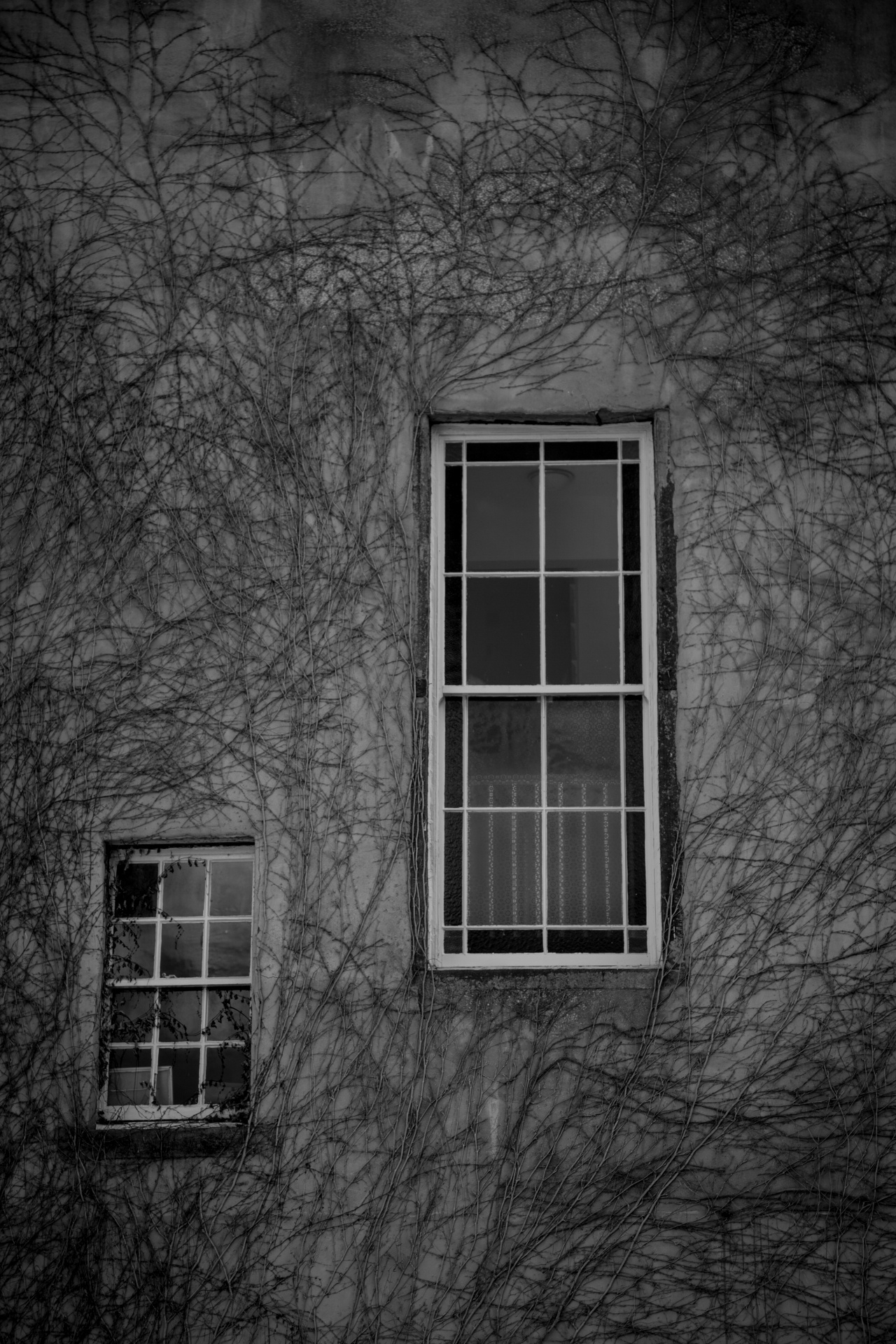 window architecture building free photo