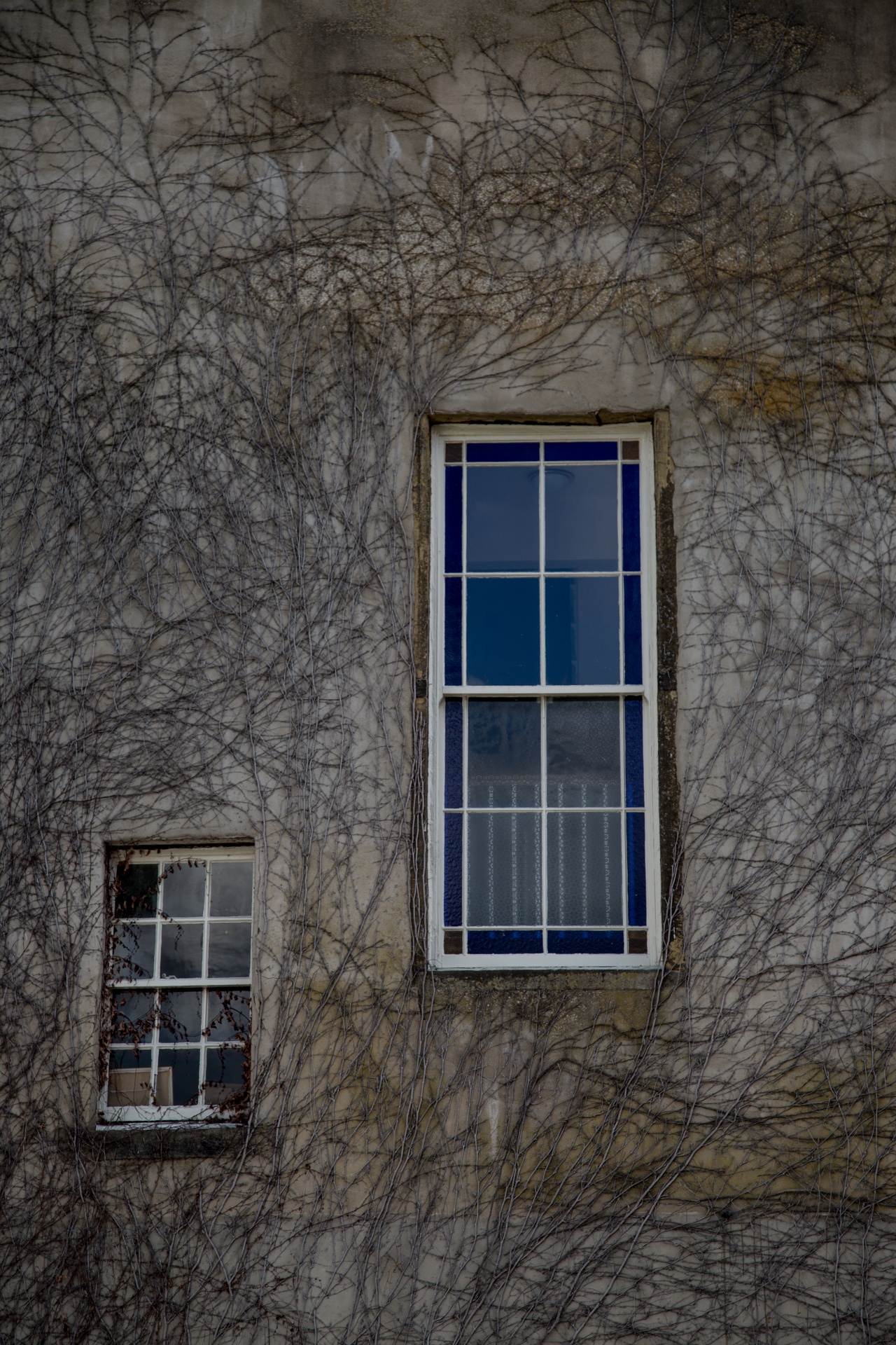 window architecture building free photo