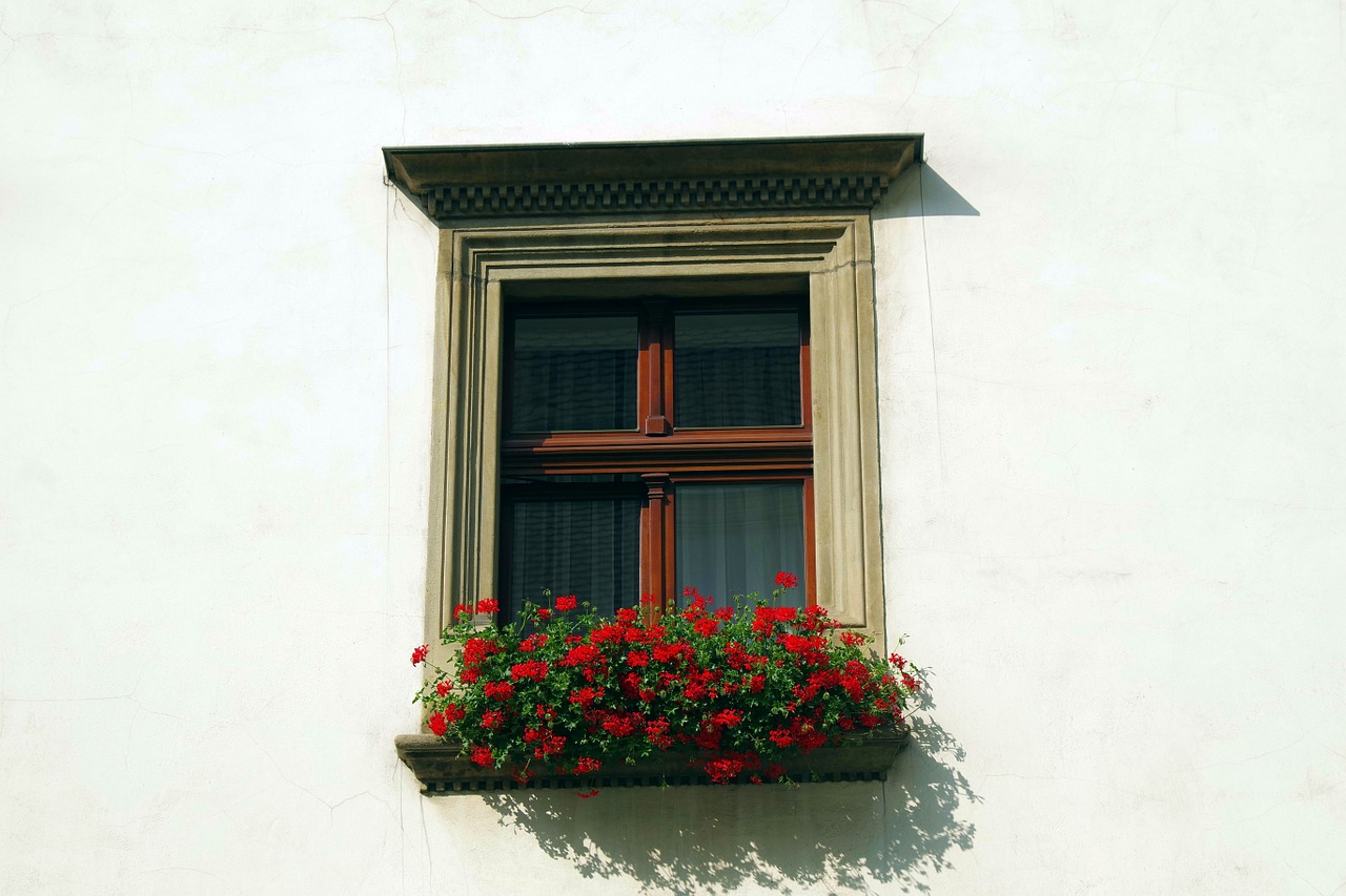 window shutters glass free photo
