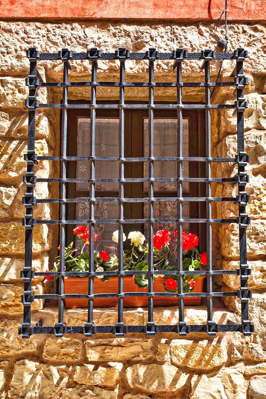 window flowers protection free photo