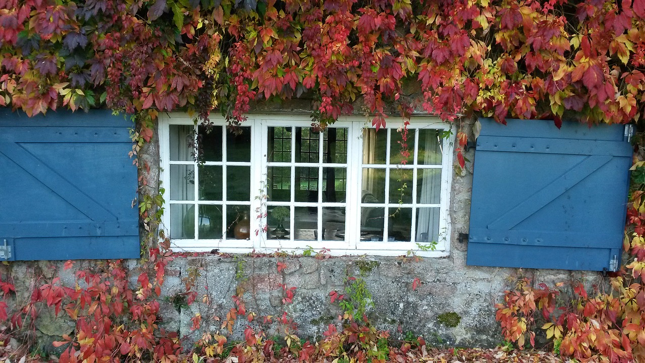 window blue rest free photo