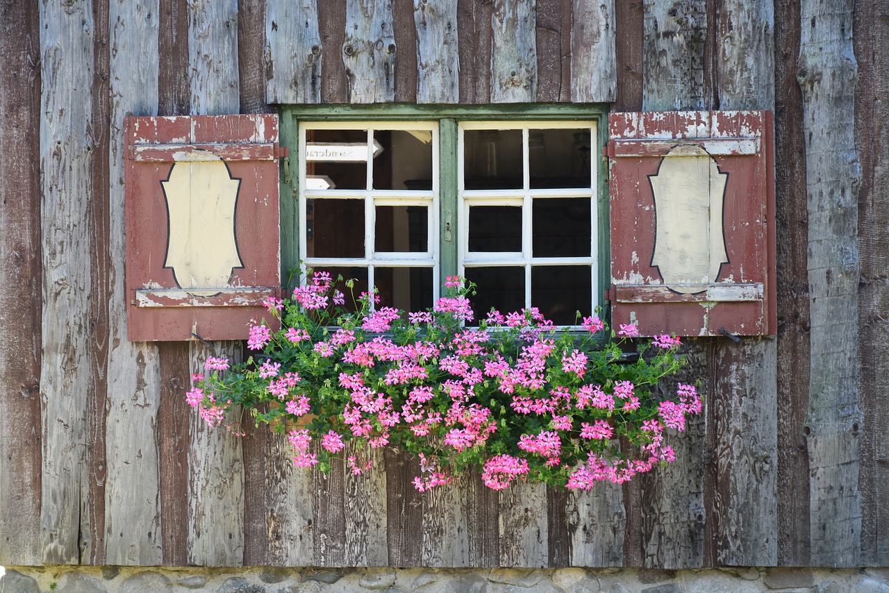 window window sill flowers free photo
