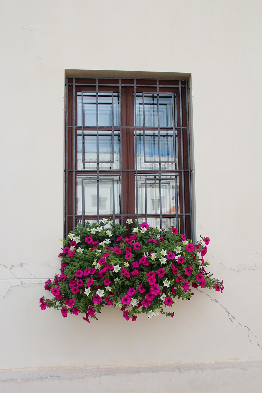 window flower box decoration free photo