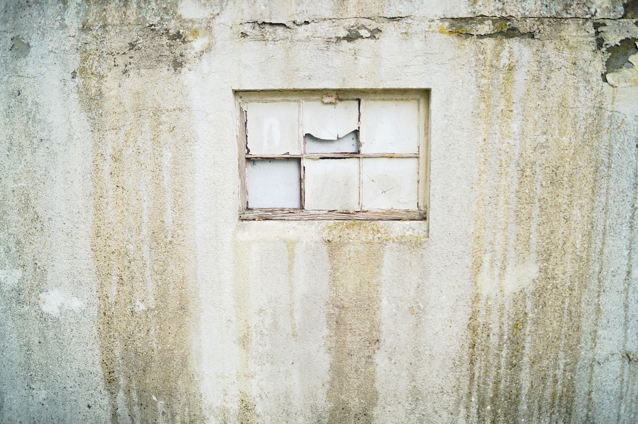 window wall facade free photo