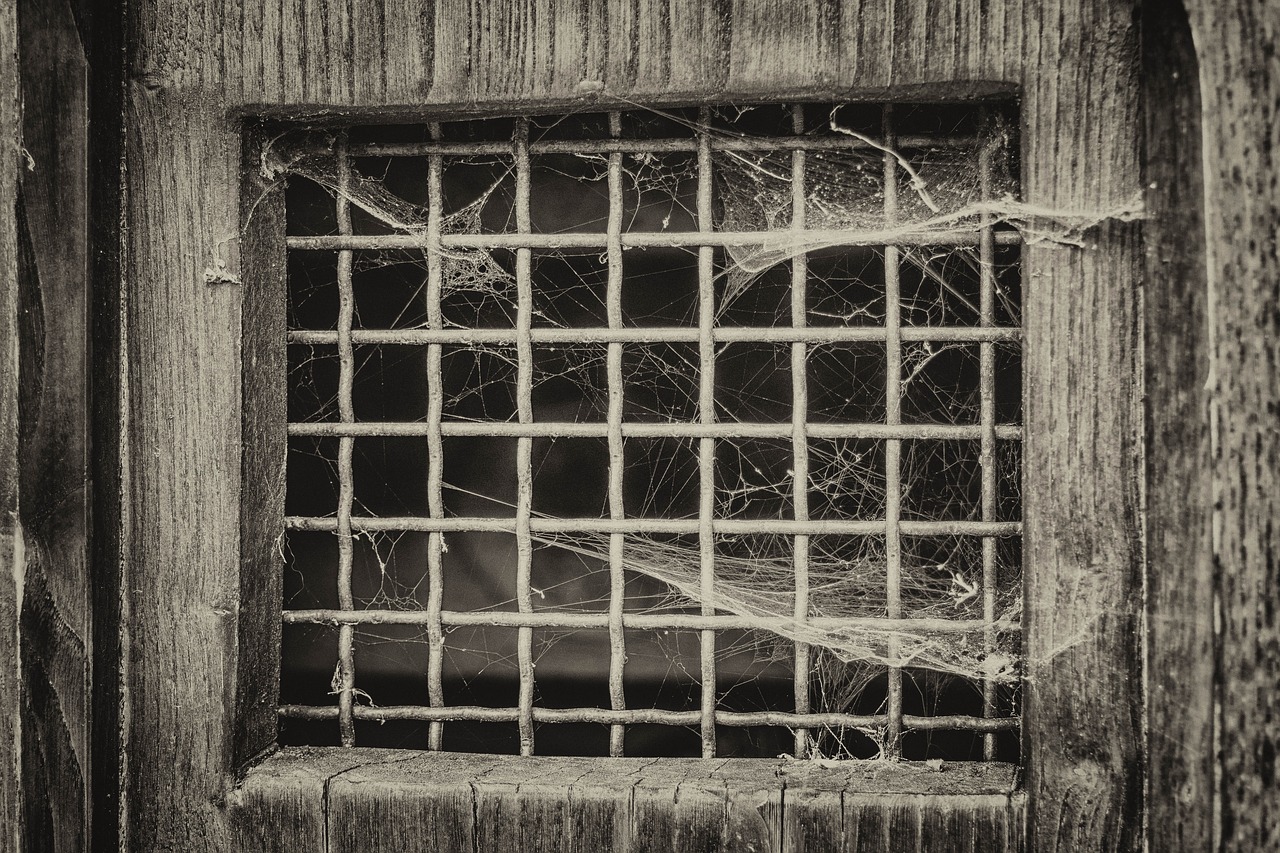 window grid door free photo