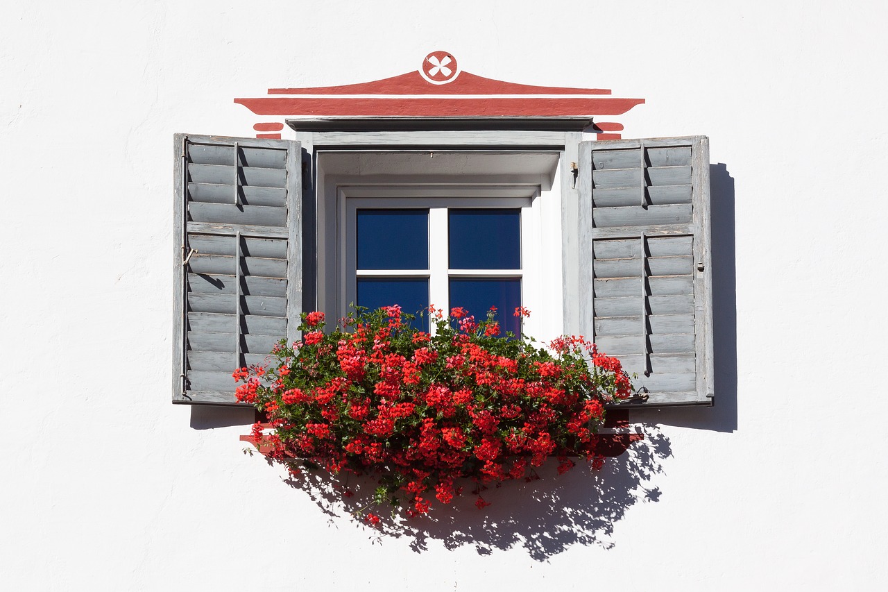 window floral decorations architecture free photo