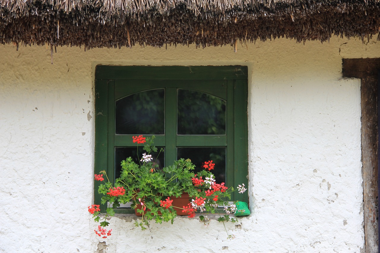 window thatched roof flower free photo