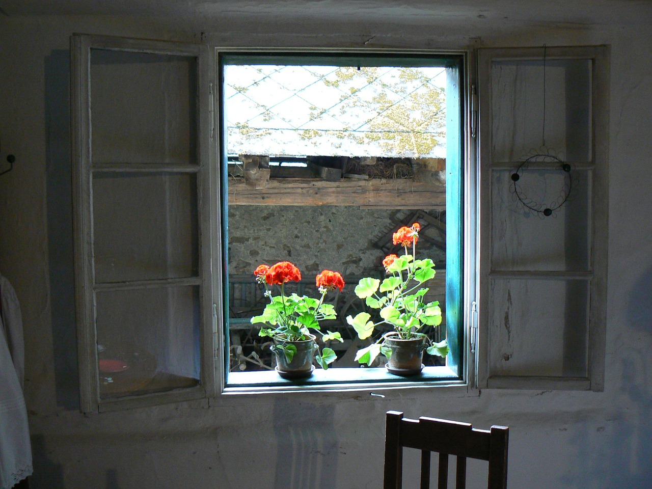 window flower red free photo