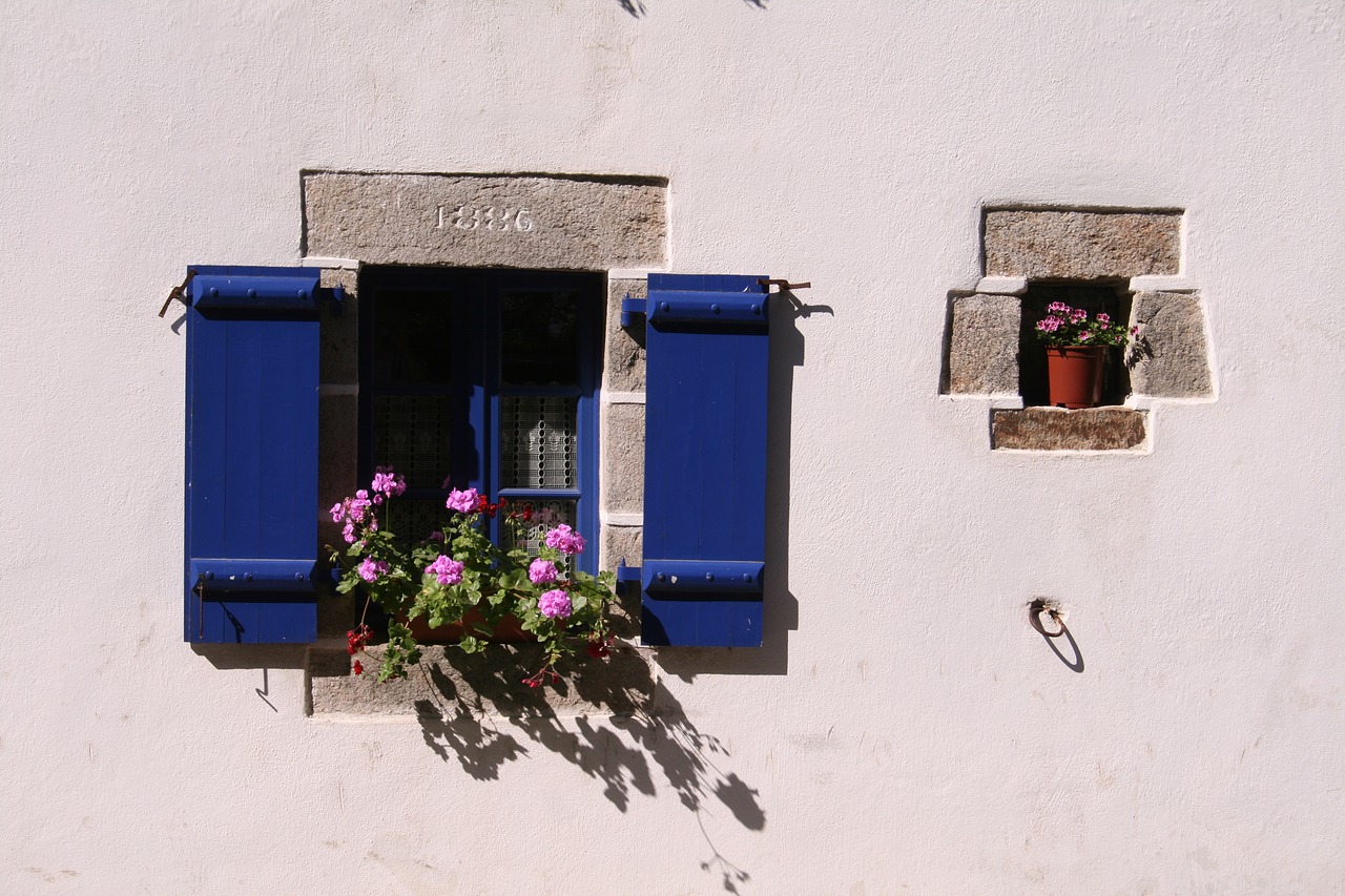 window old flowers free photo