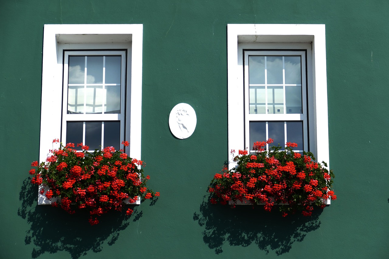 window facade flower box free photo