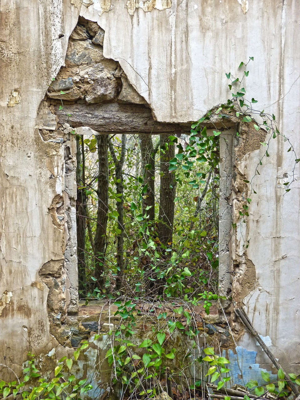 window ruin abandoned vegetation free photo