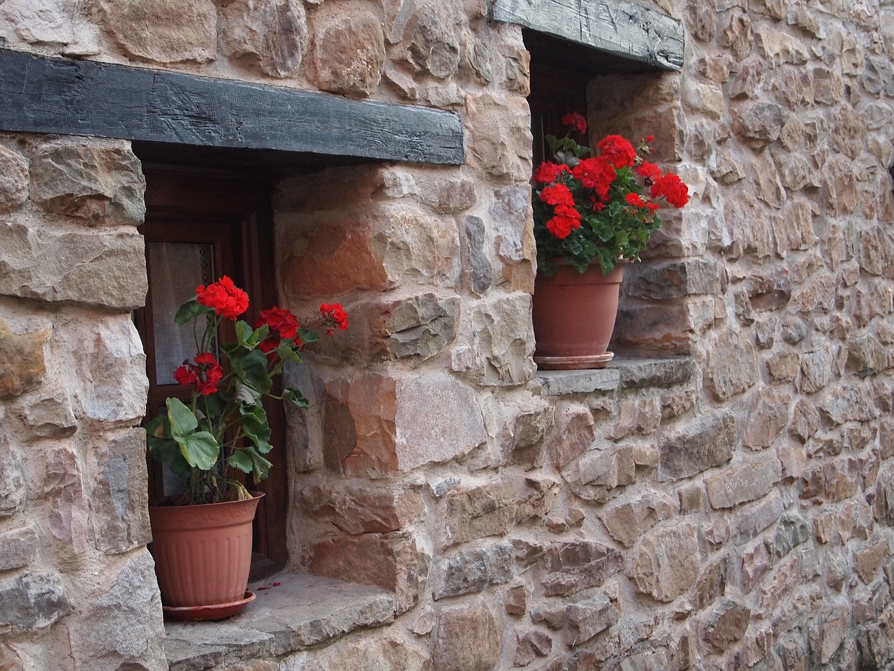 window wall pots free photo