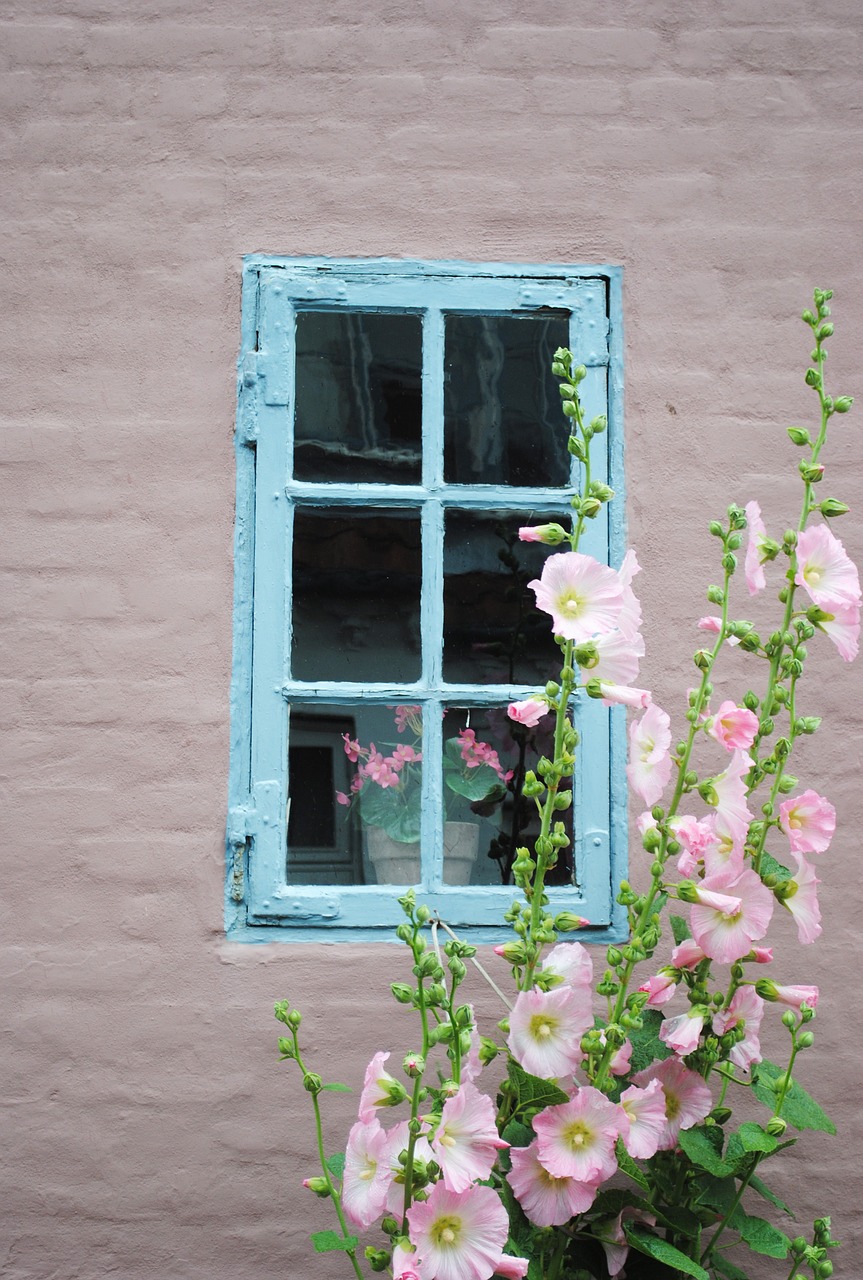 window flower denmark free photo