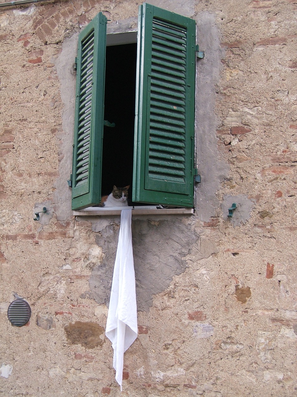 window cat italy free photo