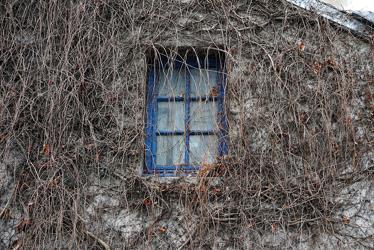 window house wall free photo