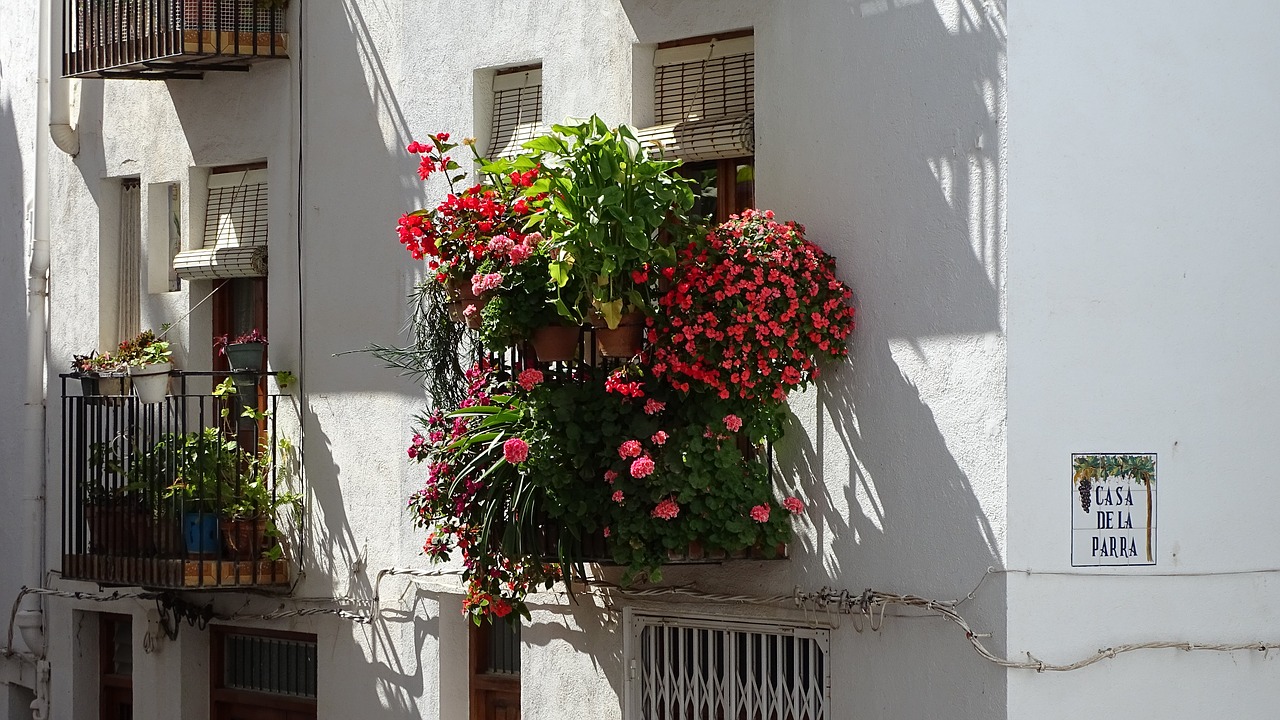 window flowers spring free photo