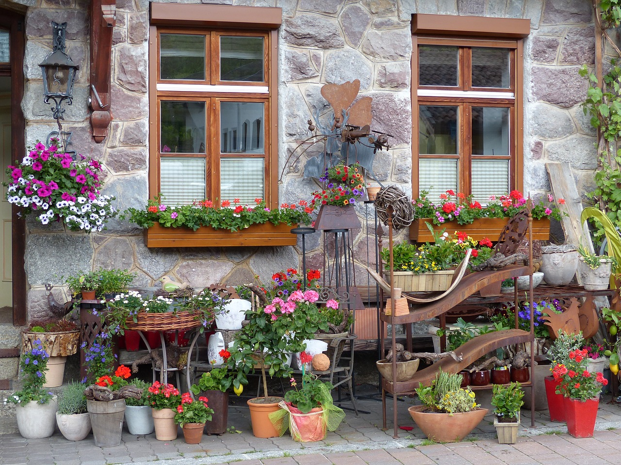 window flowers shutter free photo