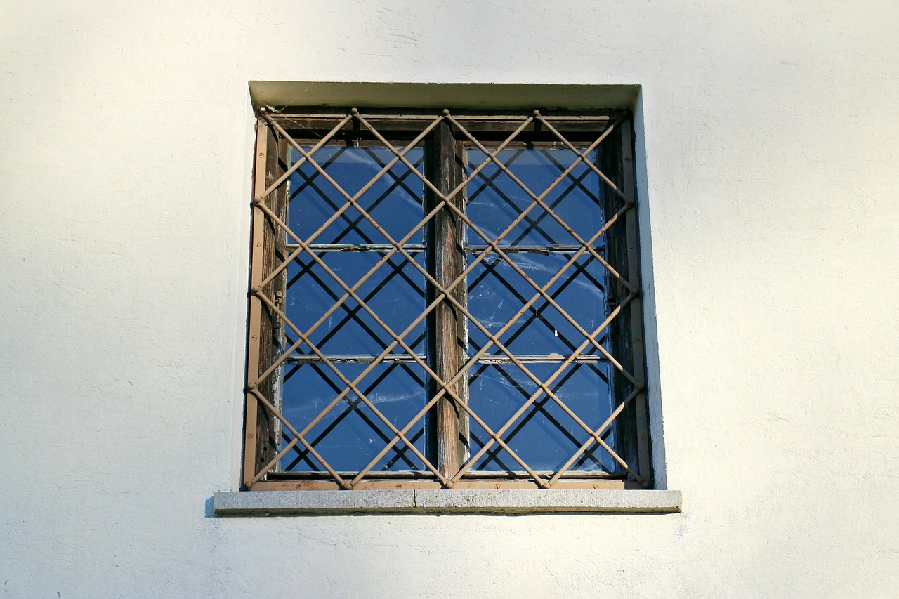 window grate window grilles free photo