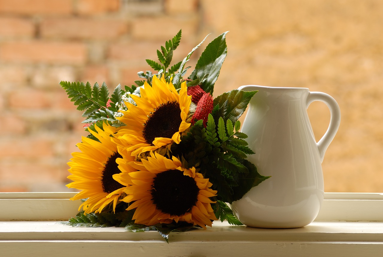 window sunflower pitcher free photo