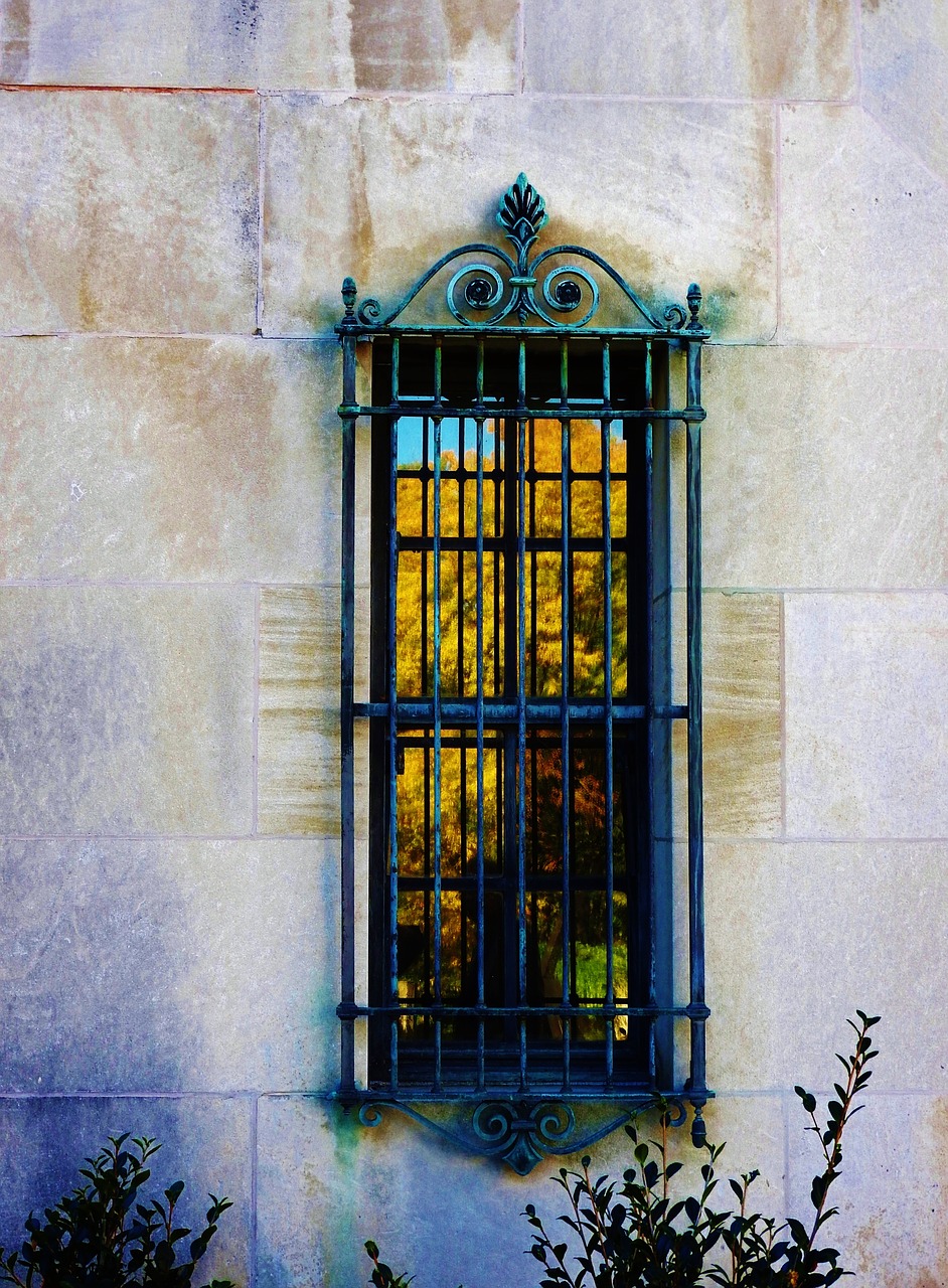 window trees fall free photo