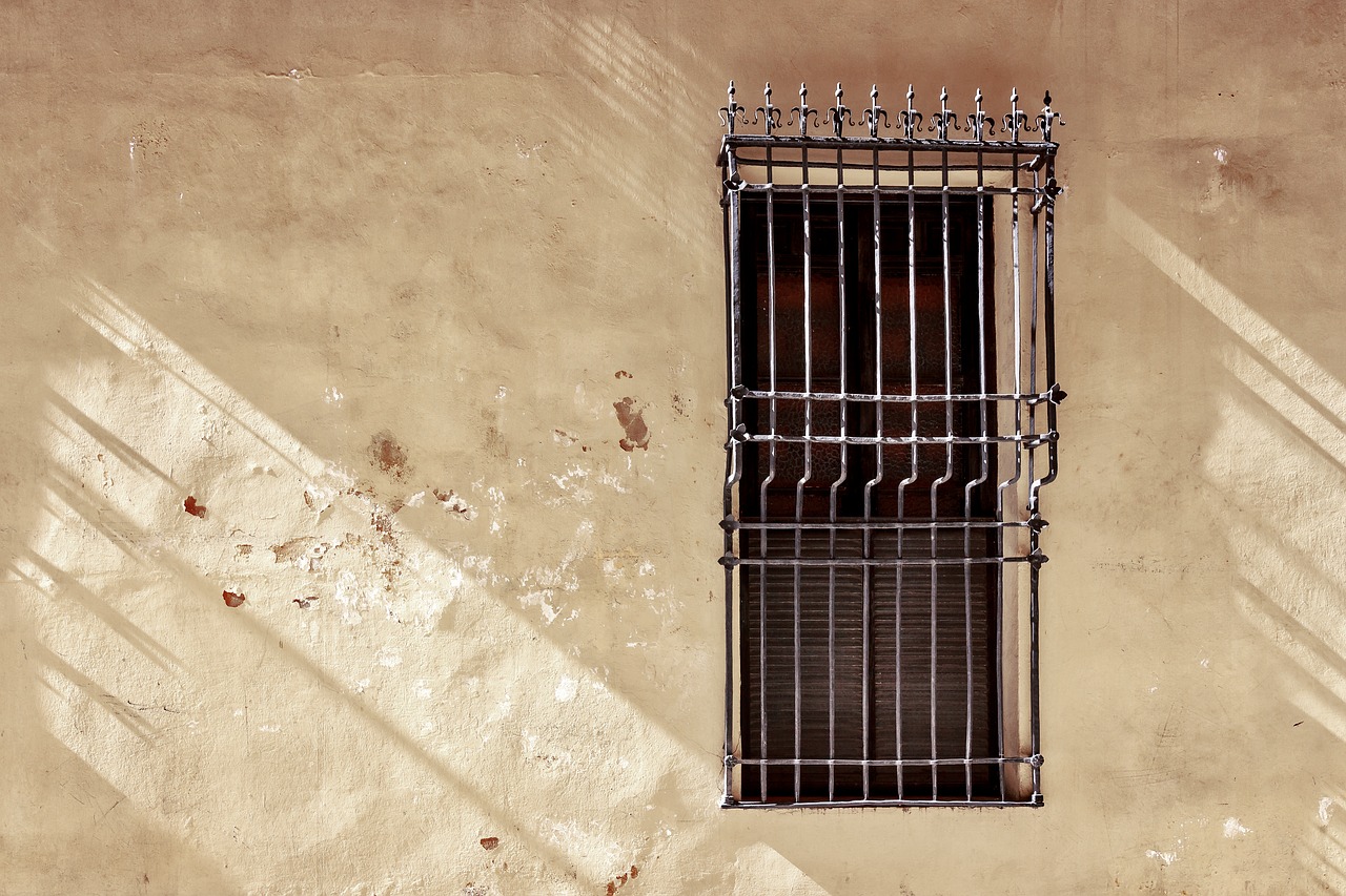 window malaga cathedral free photo