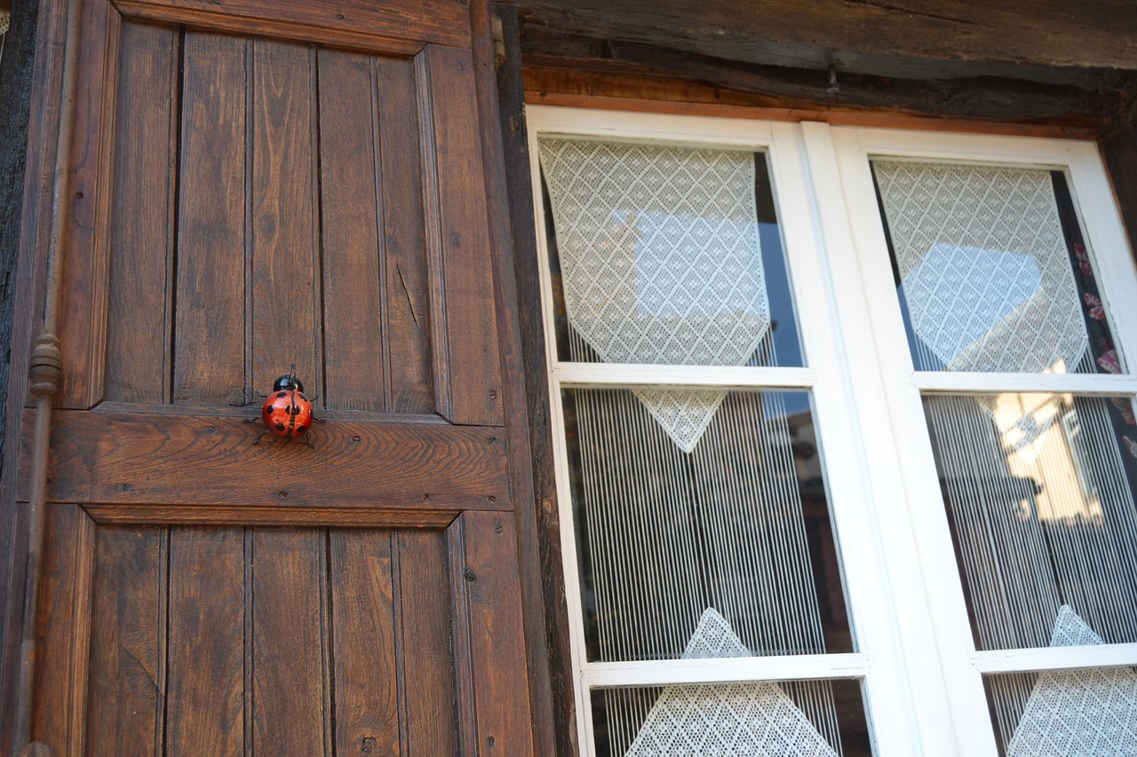 window ladybug wood free photo