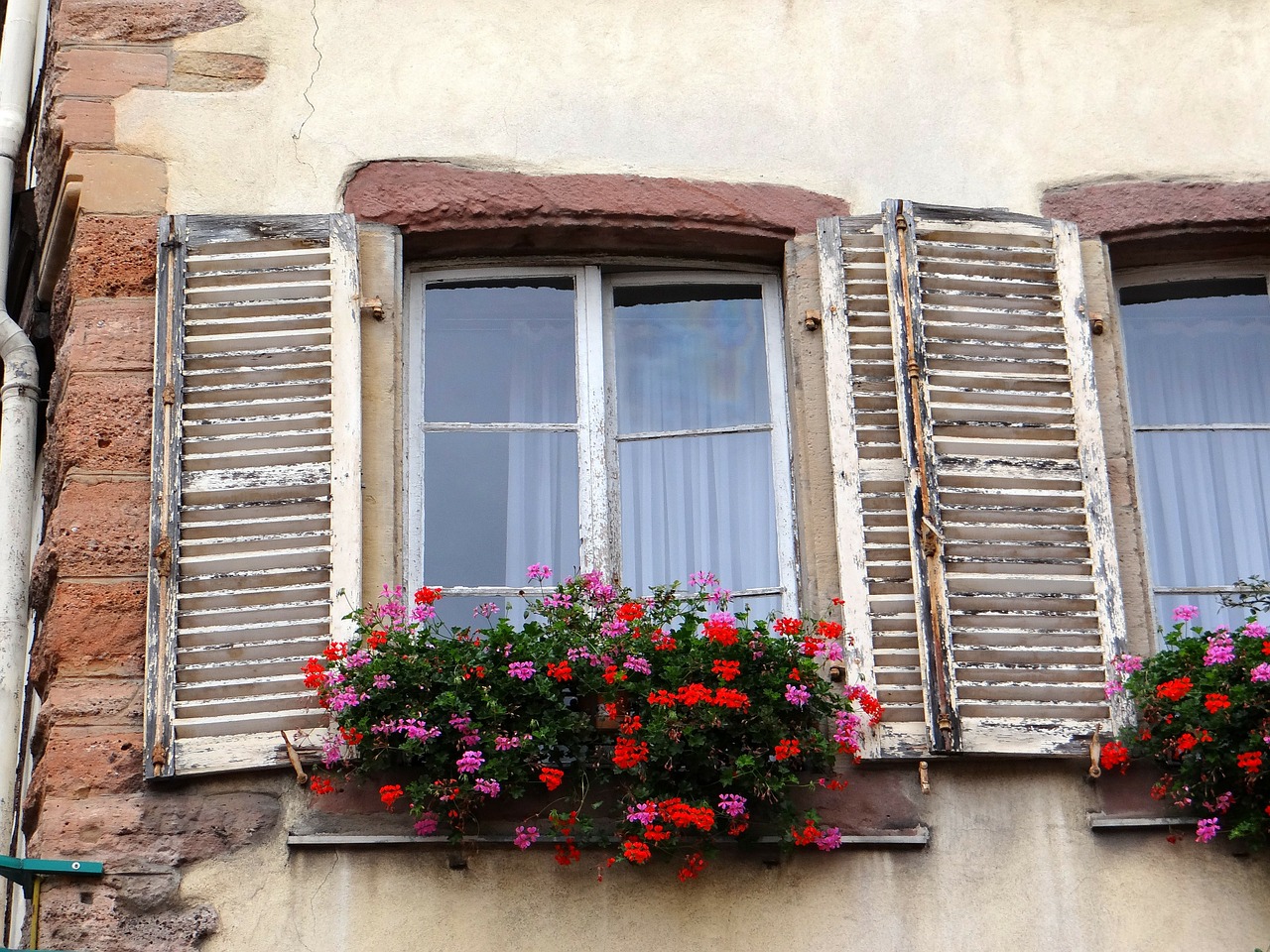 window shutters flowers free photo