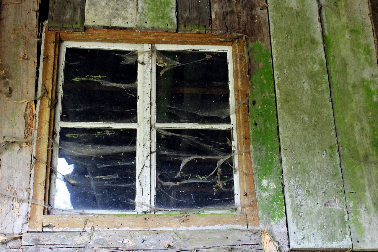 window wooden windows wood free photo