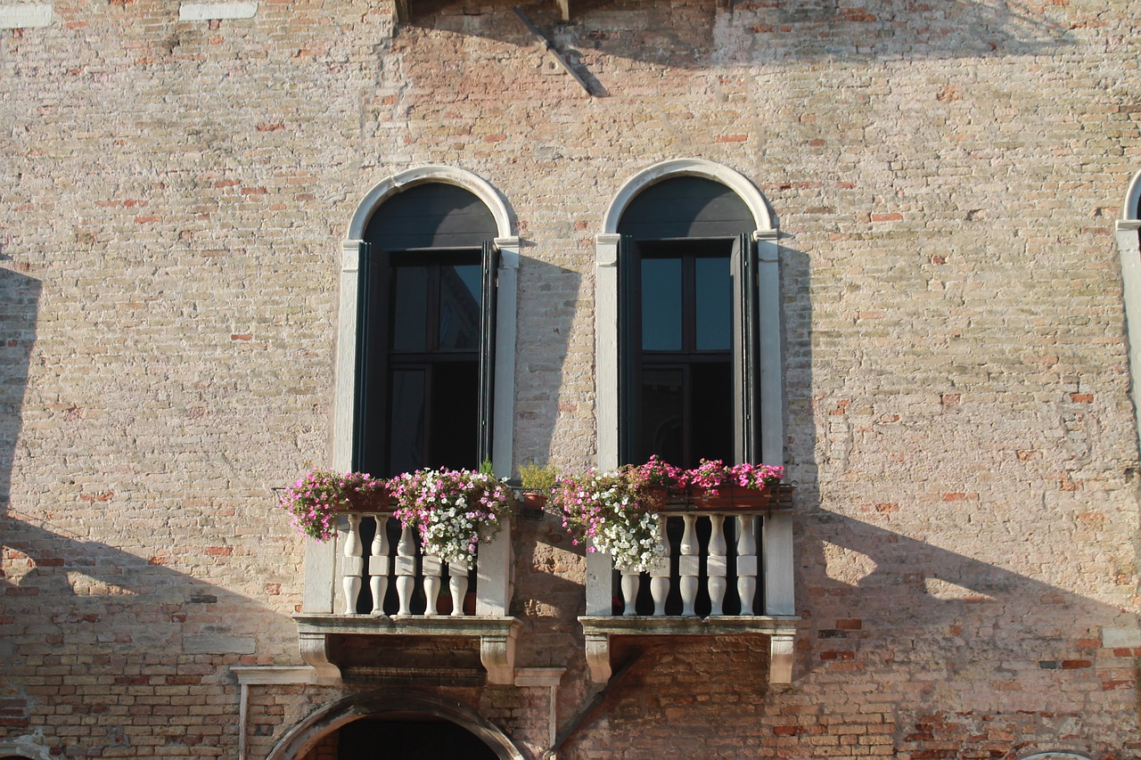 window flowers white free photo