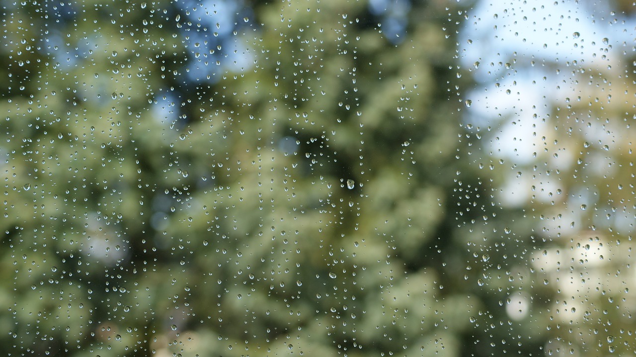 window drops rain free photo