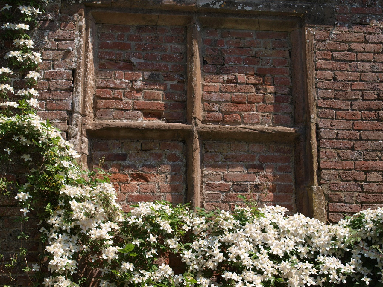 window brick garden free photo