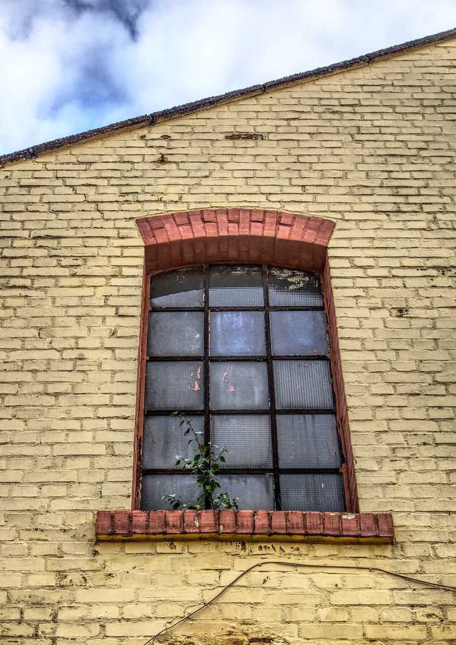 window industrial building industrial hall free photo