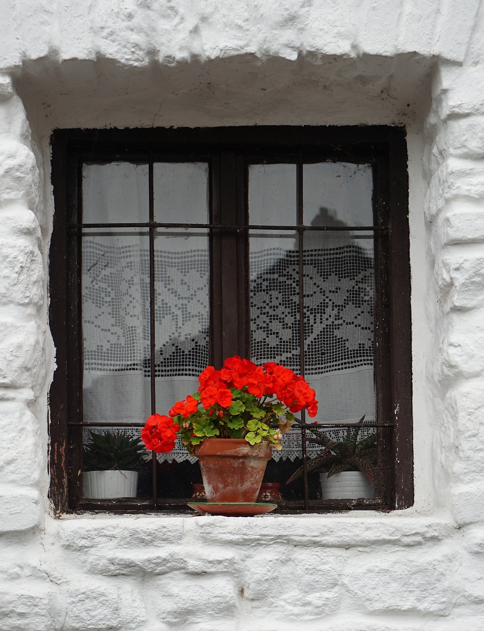 window home family free photo