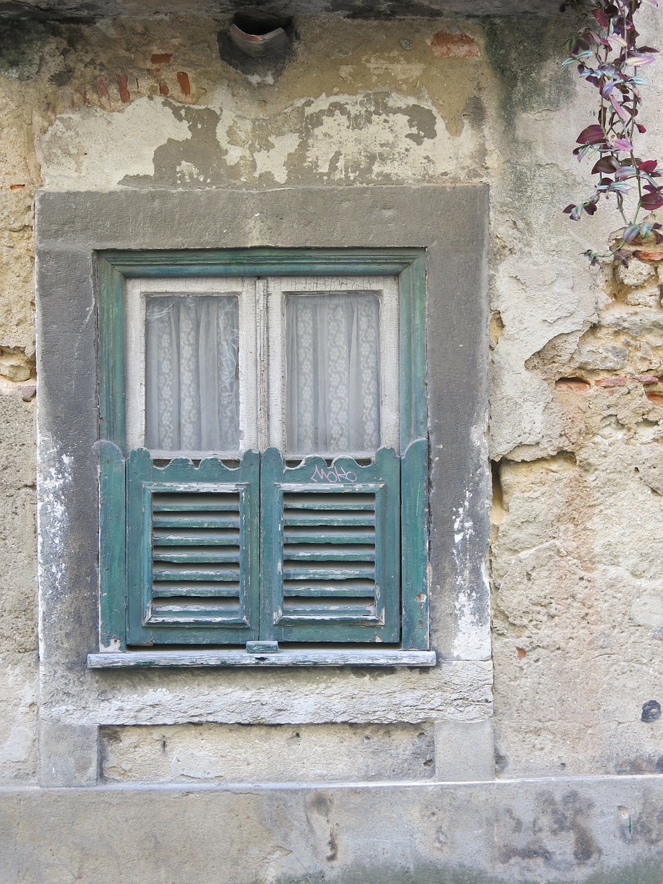 window green curtain free photo