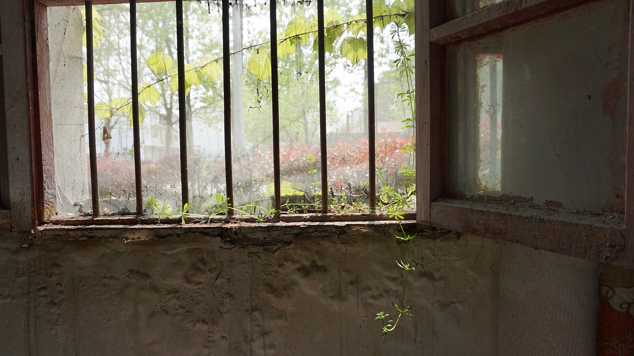 window  wood  empty free photo