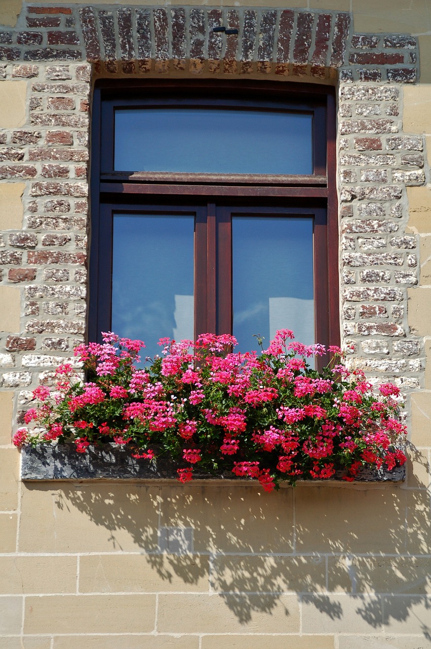 window  house  architecture free photo