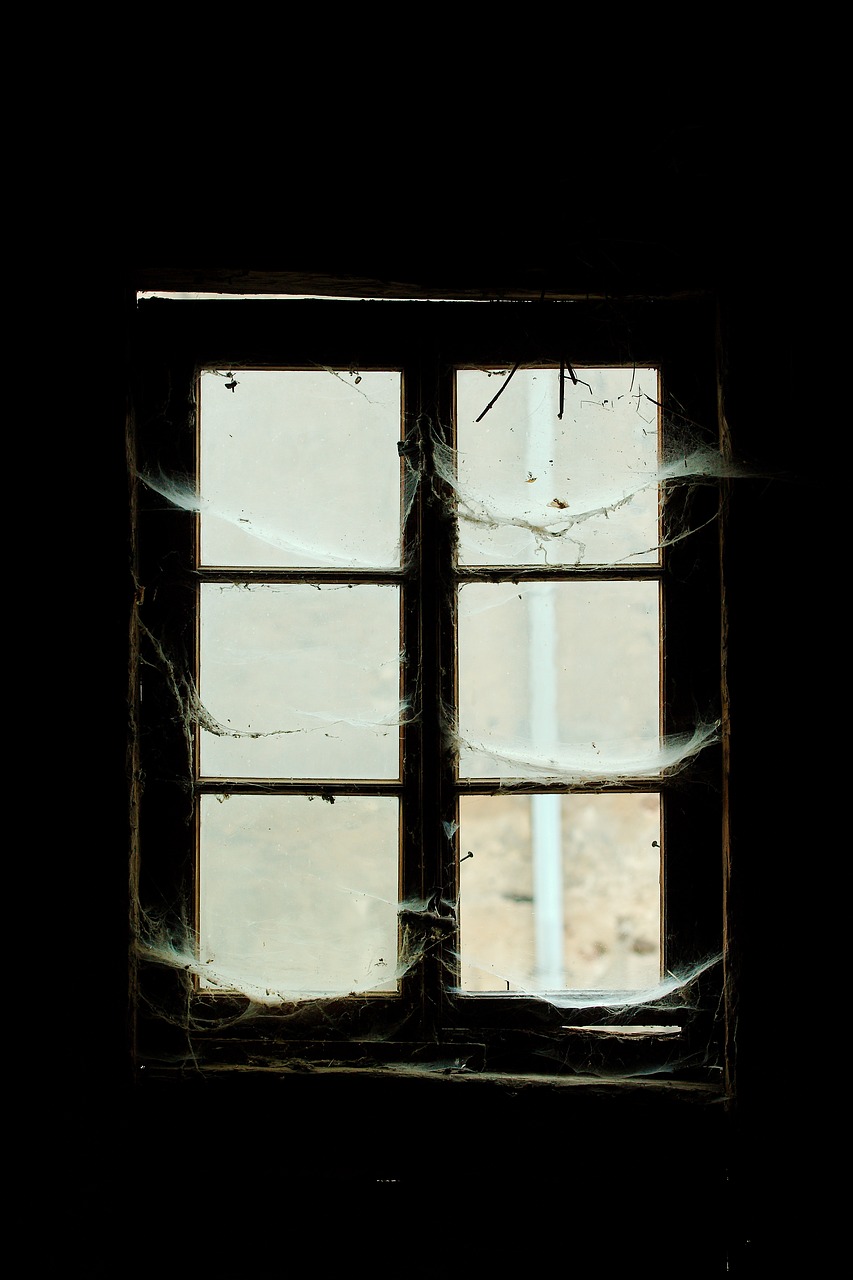 window  abandoned  architecture free photo