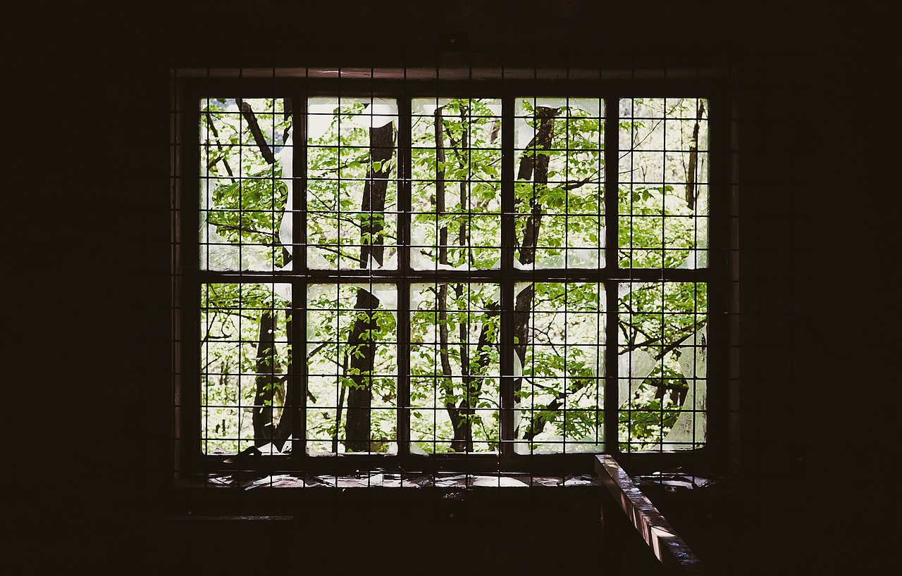 window iron bars prison free photo